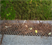 Gutter Protection | The Gutter Guys